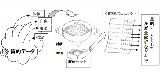 図１質的から量的の流れ.png